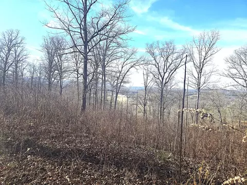 00 Hillside Dr, Warne, NC 28909 photo 13