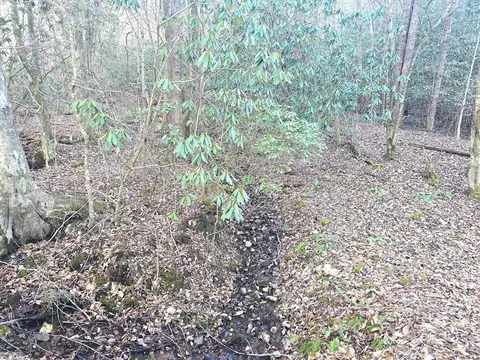 00 Hillside Dr, Warne, NC 28909 photo 46