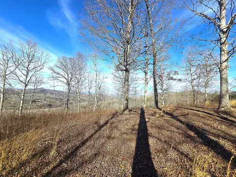 00 Hillside Dr, Warne, NC 28909 photo 33