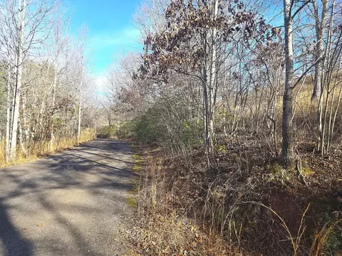 00 Hillside Dr, Warne, NC 28909 photo 4
