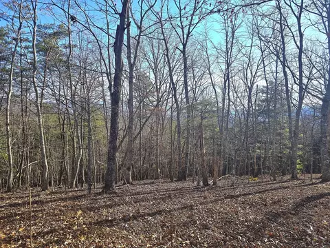 00 Hillside Dr, Warne, NC 28909 photo 22