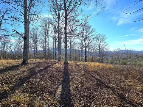00 Hillside Dr, Warne, NC 28909 photo 31