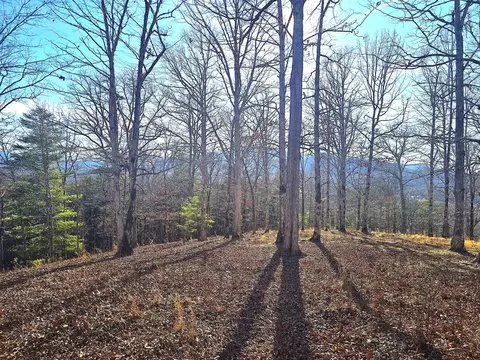00 Hillside Dr, Warne, NC 28909 photo 23