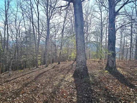 00 Hillside Dr, Warne, NC 28909 photo 21