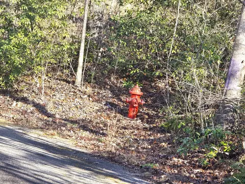 00 Hillside Dr, Warne, NC 28909 photo 40
