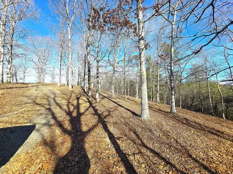 00 Hillside Dr, Warne, NC 28909 photo 36
