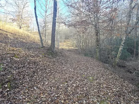 00 Hillside Dr, Warne, NC 28909 photo 43