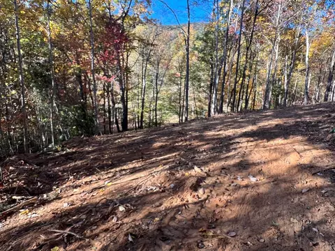 1 Bartin Rdg, Murphy, NC 28906 photo 8