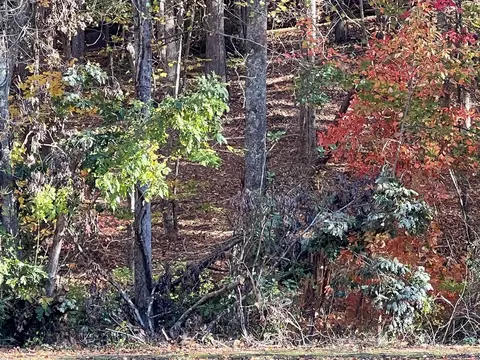 1 Bartin Rdg, Murphy, NC 28906 photo 21