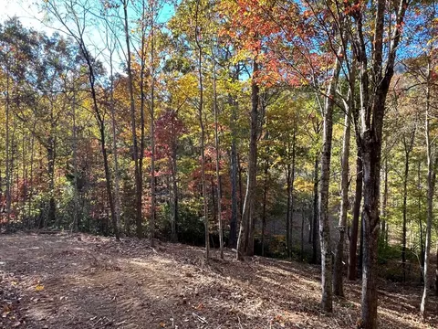 1 Bartin Rdg, Murphy, NC 28906 photo 10