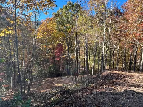 1 Bartin Rdg, Murphy, NC 28906 photo 14
