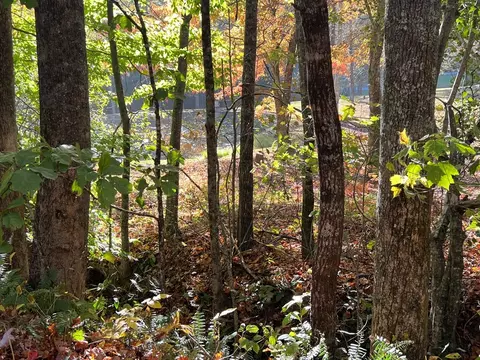 1 Bartin Rdg, Murphy, NC 28906 photo 22