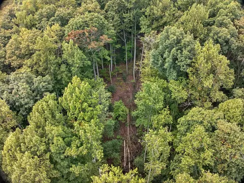 00 Hayden Ln, Murphy, NC 28906 photo 18