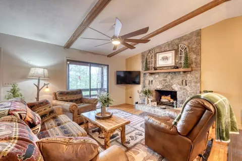 Living - 9 Silver Maple Ln, Murphy, NC 28906 photo 2 of 7