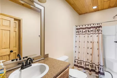 Bath - 235 Oak Ridge Ests, Murphy, NC 28906 photo 5 of 5