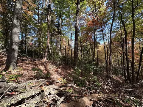 lot5 8 Indian Rock Springs Subdivision, Murphy, NC 28906 photo 13