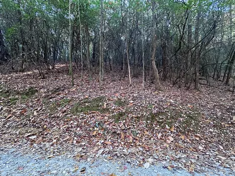 lot5 8 Indian Rock Springs Subdivision, Murphy, NC 28906 photo 18