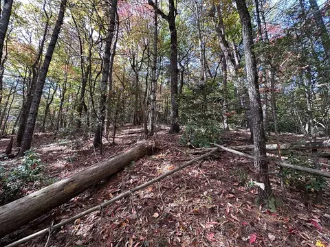 lot5 8 Indian Rock Springs Subdivision, Murphy, NC 28906 photo 15