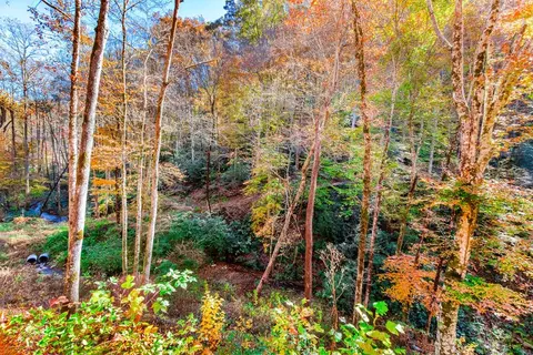 00 Jasmine Dr, Marble, NC 28905 photo 24