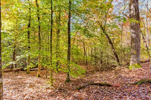 00 Jasmine Dr, Marble, NC 28905 photo 7