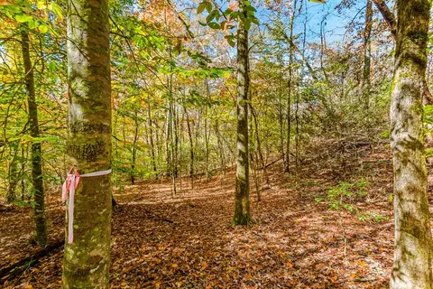 00 Jasmine Dr, Marble, NC 28905 photo 8