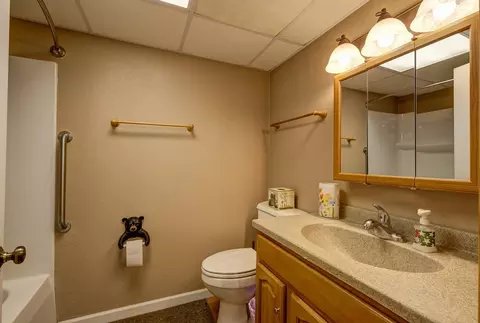 342 Laurel Cove Rd, Murphy, NC 28906 photo 57