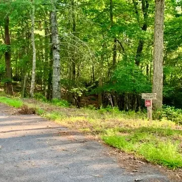 Undisclosed, Warne, NC 28909 photo 15