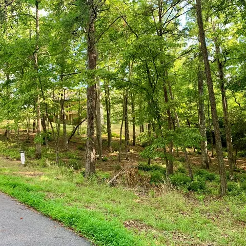 Undisclosed, Warne, NC 28909 photo 13