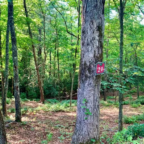 Undisclosed, Warne, NC 28909 photo 8