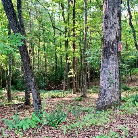 Undisclosed, Warne, NC 28909 photo 12