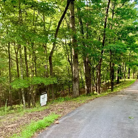 Undisclosed, Warne, NC 28909 photo 3