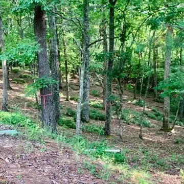 Undisclosed, Warne, NC 28909 photo 9