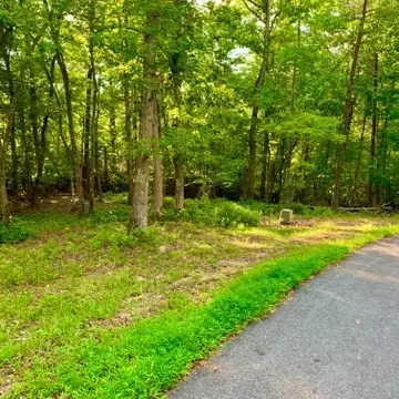 Undisclosed, Warne, NC 28909 photo 2