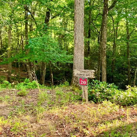 Undisclosed, Warne, NC 28909 photo 10
