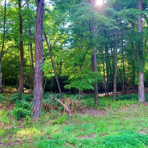 Undisclosed, Warne, NC 28909