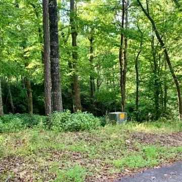 Undisclosed, Warne, NC 28909 photo 6