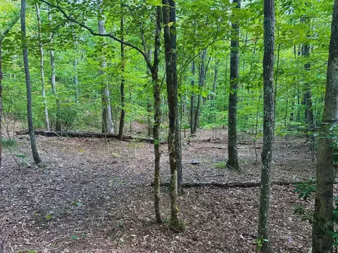 Undisclosed, Young Harris, GA 30582