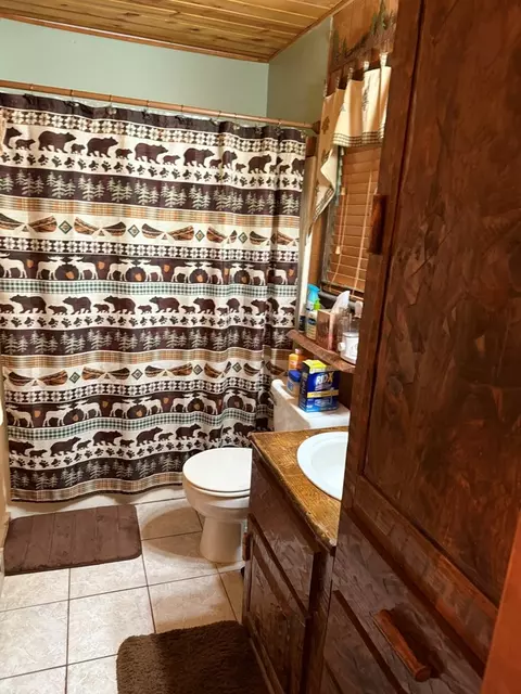 17 Hamlet O Cabins Trl, Murphy, NC 28906 photo 30