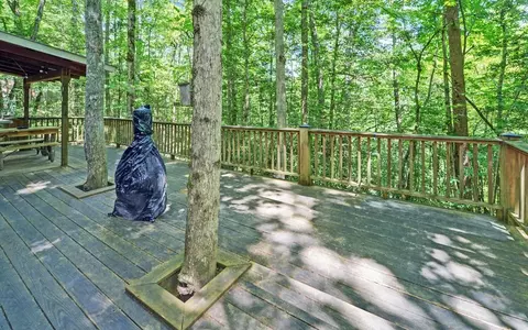 17 Hamlet O Cabins Trl, Murphy, NC 28906 photo 19