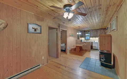 17 Hamlet O Cabins Trl, Murphy, NC 28906 photo 5