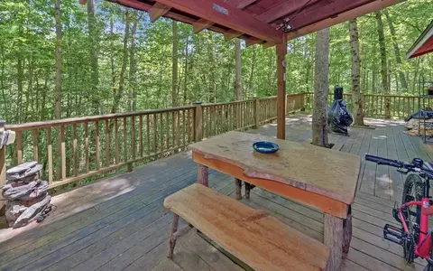 17 Hamlet O Cabins Trl, Murphy, NC 28906 photo 22