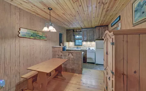 17 Hamlet O Cabins Trl, Murphy, NC 28906 photo 7