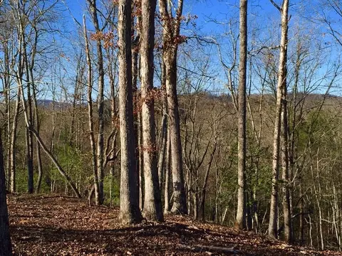 lot Apt 94 River Mountain Rd, Murphy, NC 28906 photo 3