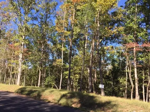 lot Apt 94 River Mountain Rd, Murphy, NC 28906 photo 8