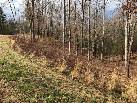lot Apt 94 River Mountain Rd, Murphy, NC 28906 photo 9