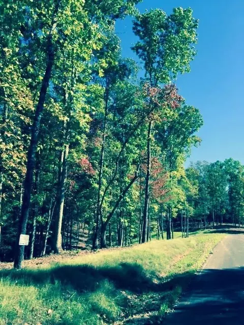 lot Apt 94 River Mountain Rd, Murphy, NC 28906 photo 5