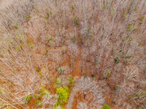 3 45 Ac Guy Eller Rd, Murphy, NC 28906 photo 17