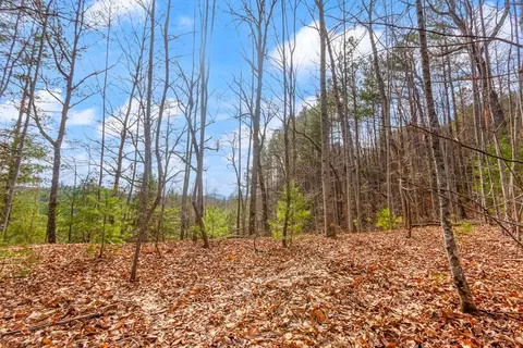 3 45 Ac Guy Eller Rd, Murphy, NC 28906 photo 13