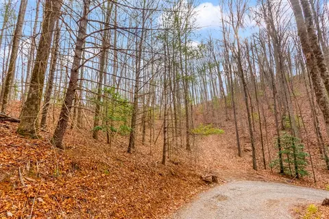 3 45 Ac Guy Eller Rd, Murphy, NC 28906 photo 2