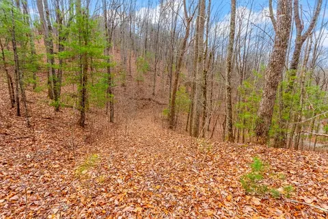 3 45 Ac Guy Eller Rd, Murphy, NC 28906 photo 7